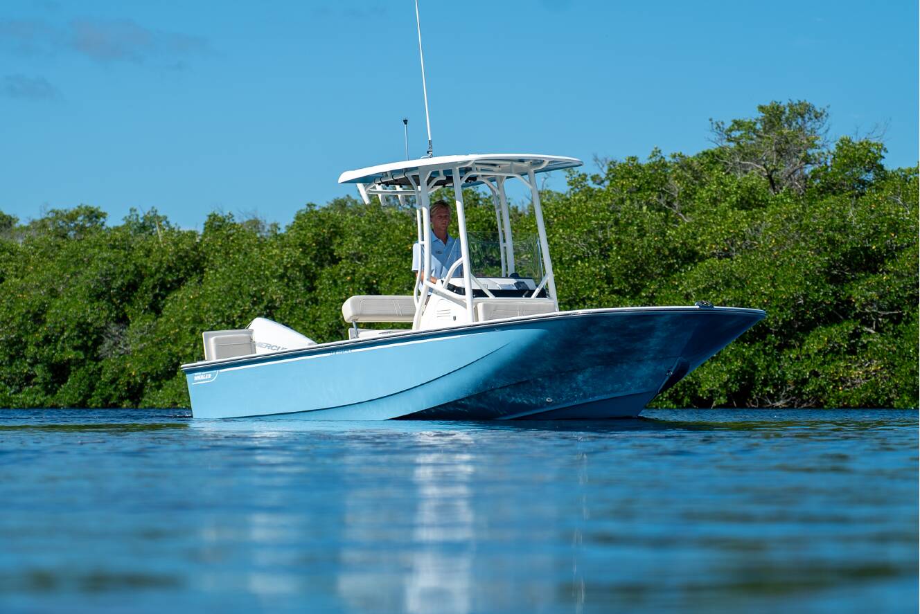 A photo of this 2026 Boston Whaler 210 Montauk