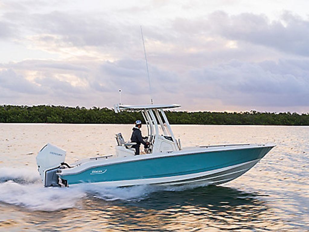 2026 Boston Whaler 250 Dauntless in miami FL