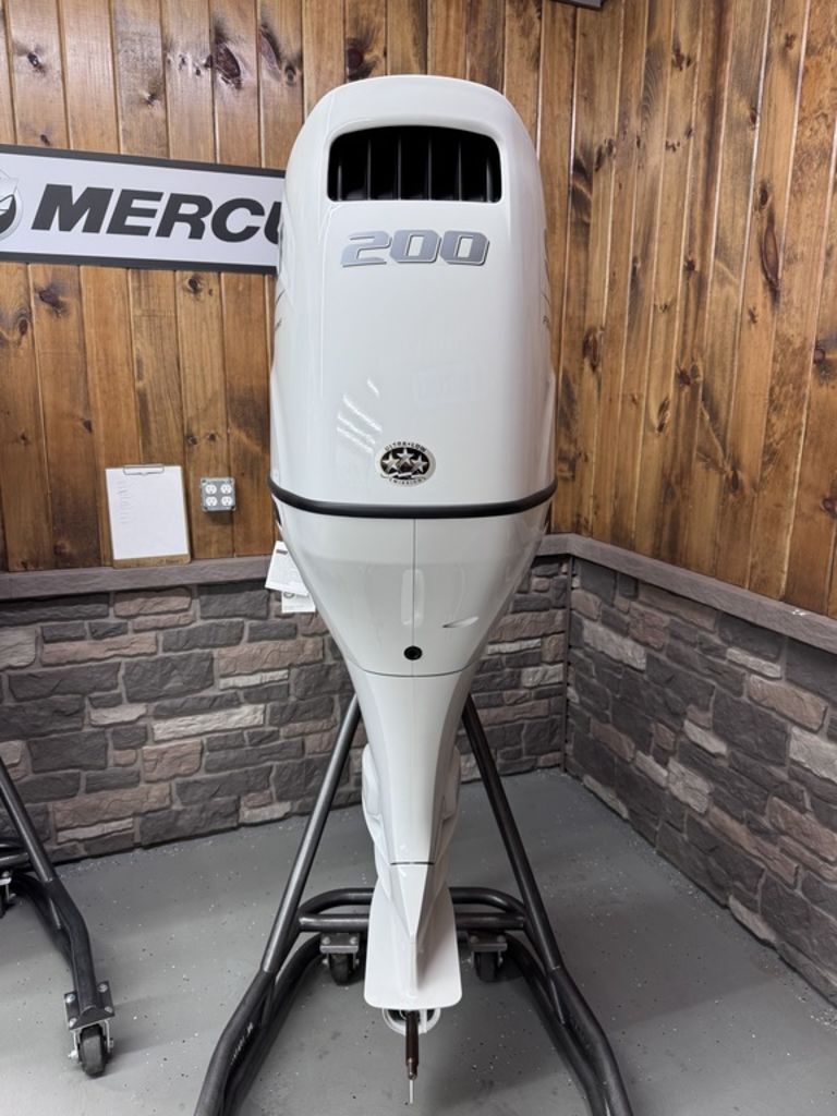 2023 Suzuki Marine DF200A Mechanical X NAN in coldwater MI