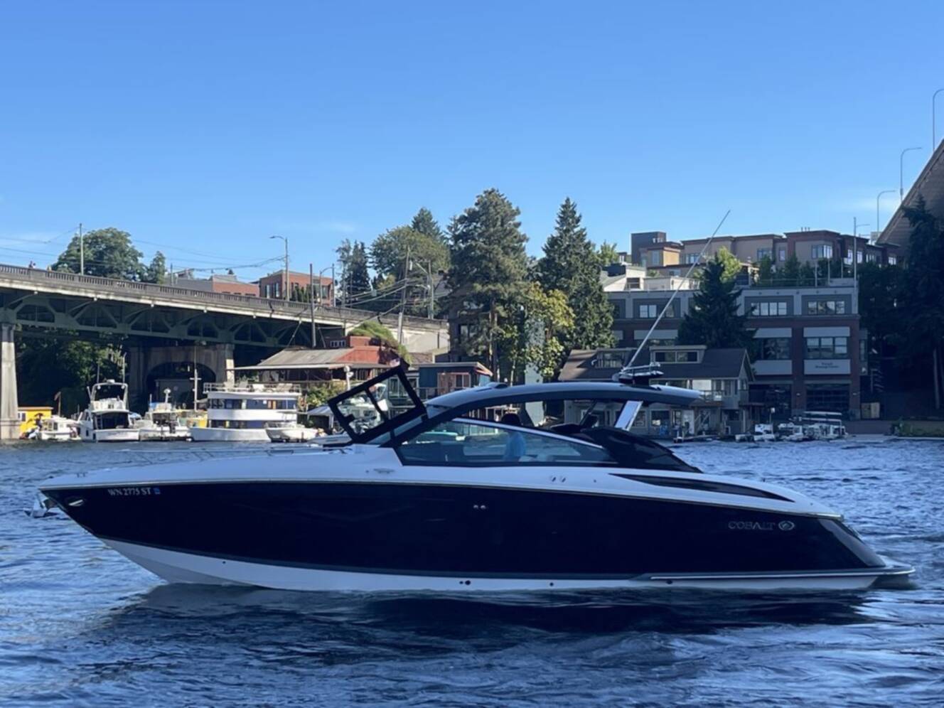 A photo of this 2019 Cobalt Boats A36