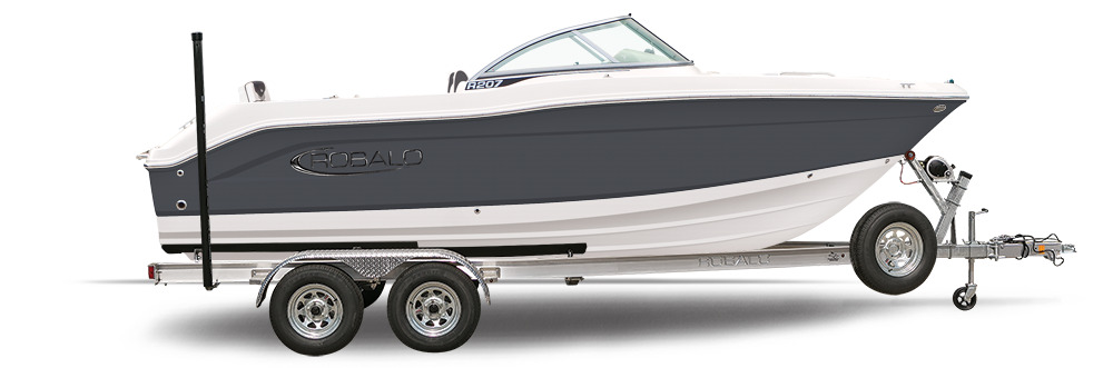 2025 Robalo R207 in richland MI