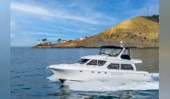 2006 Navigator 5100 Pilothouse Boat boat