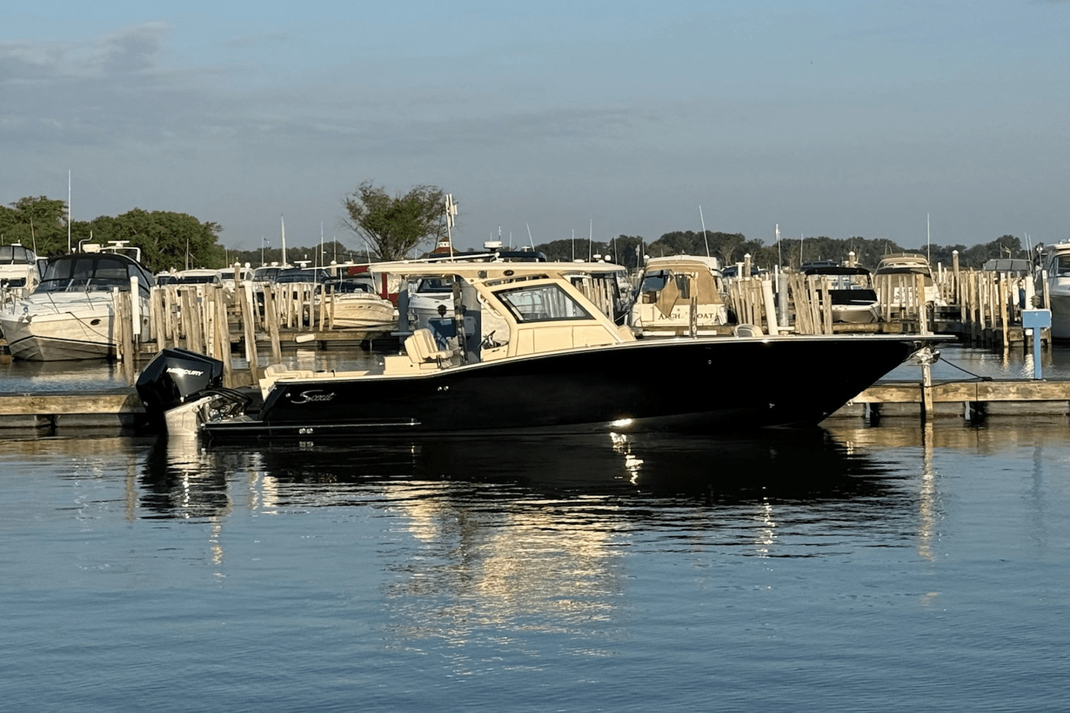 2025 Scout 305 LXF in marblehead OH