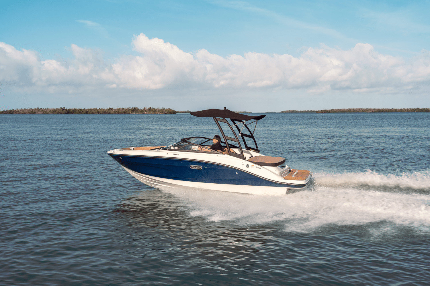 2025 Sea Ray SPX 190 in pewaukee WI