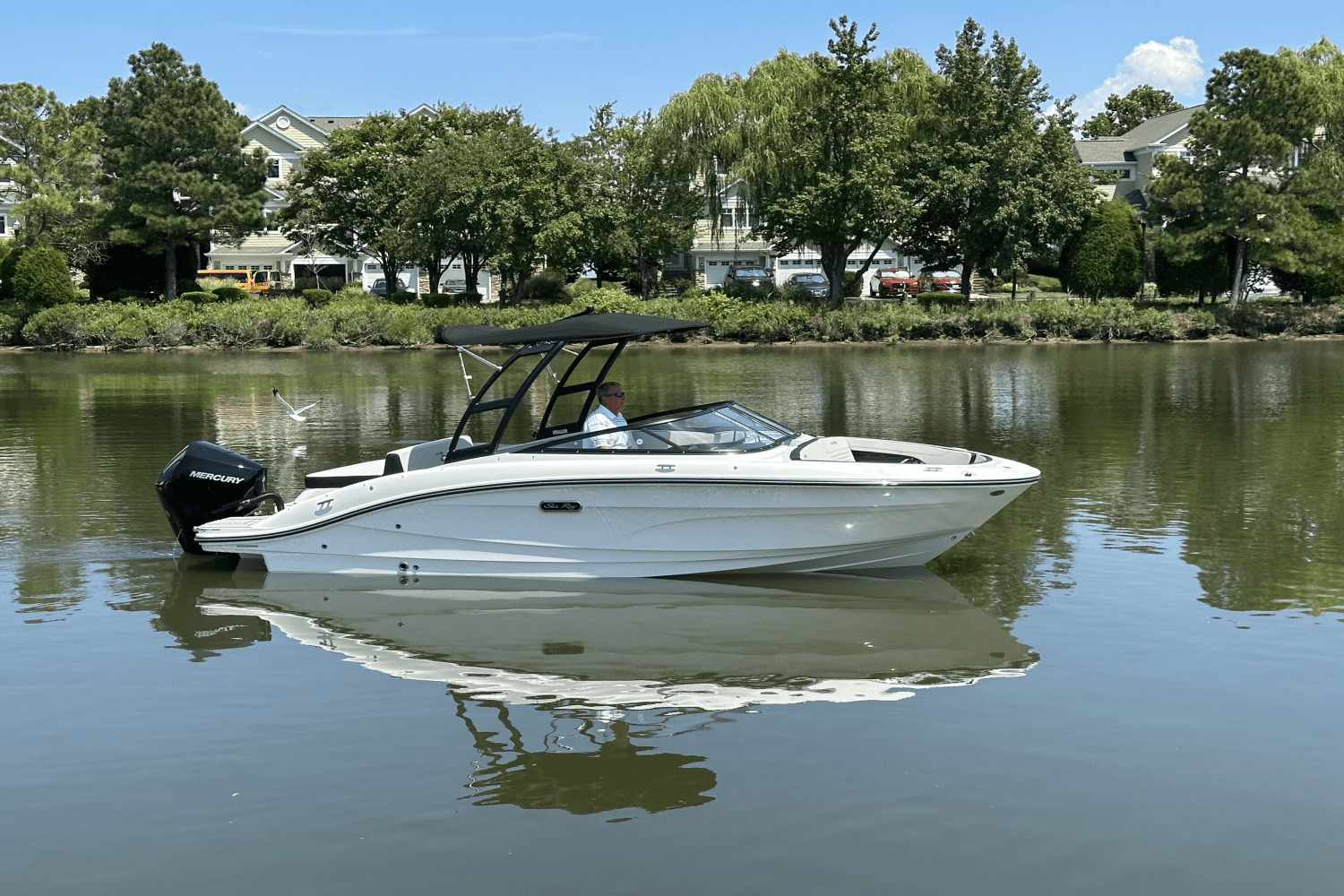 2026 Sea Ray SPX 210 Outboard in grasonville MD