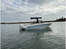 Boston Whaler 330 Vantage Review image