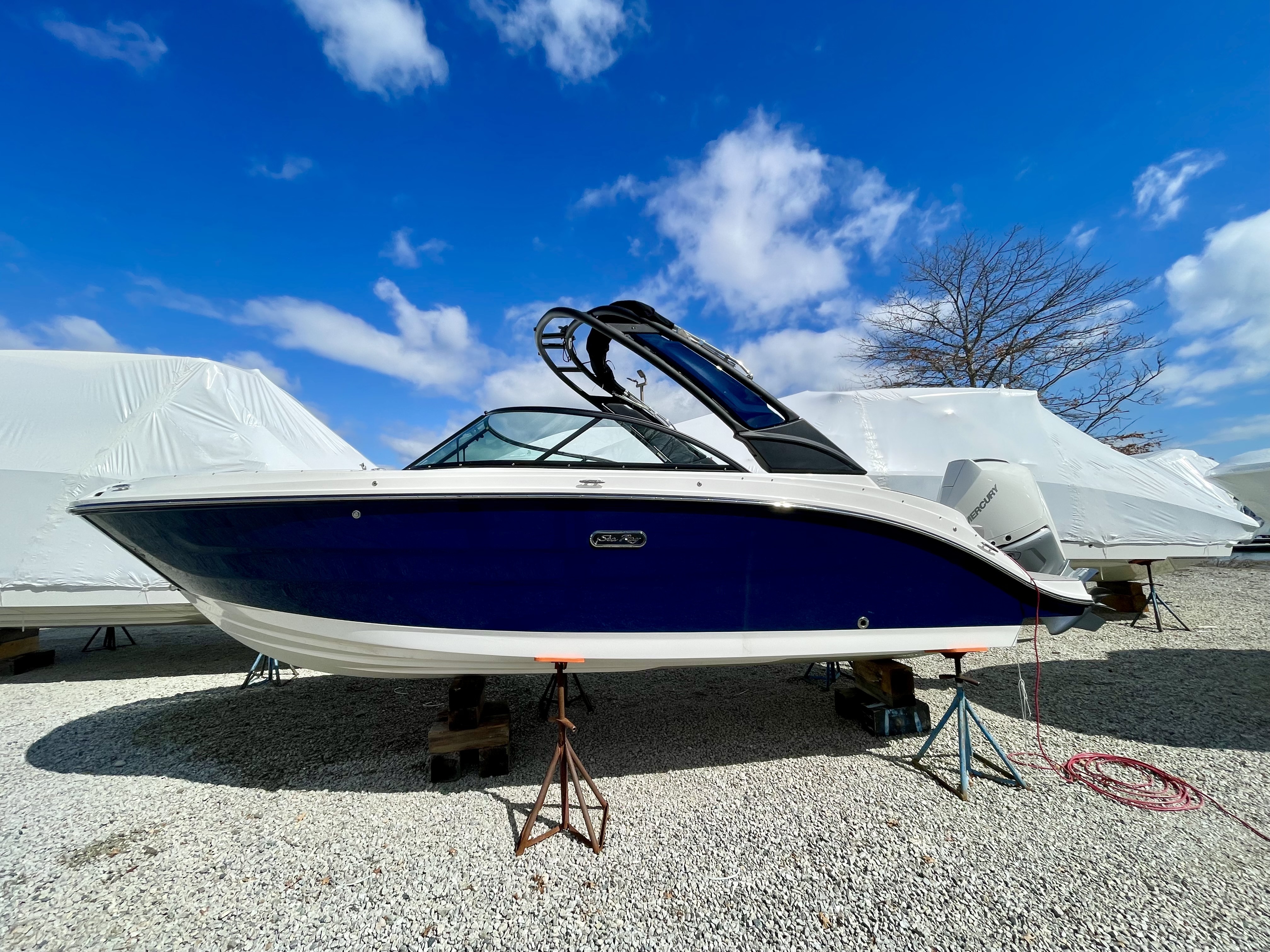 2026 Sea Ray SDX 230 Outboard 290 OUTBOARD in quincy MA