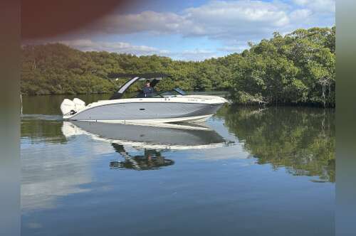 2024 Sea Ray 290 SD-OB 290 OB in clearwater FL