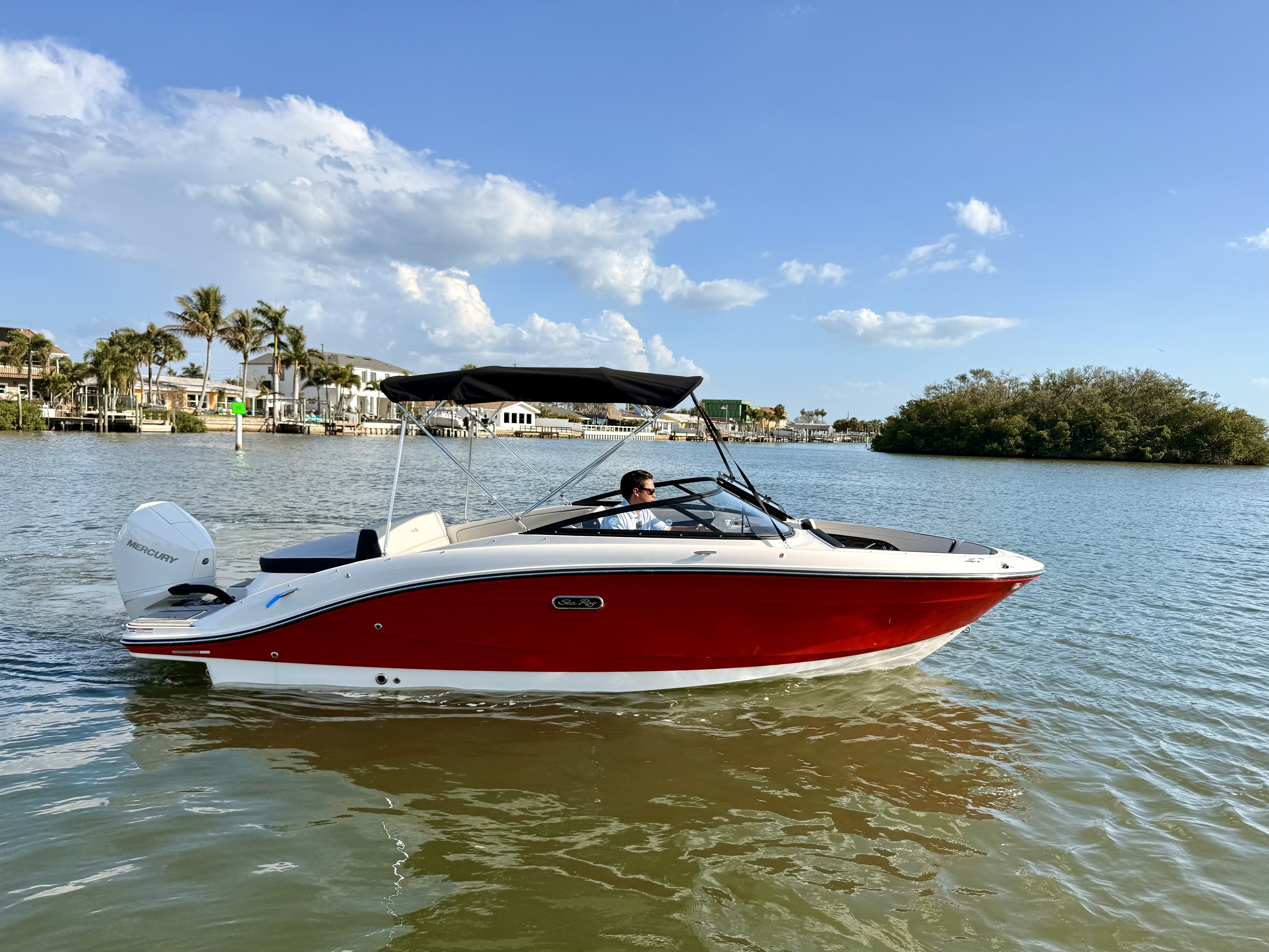 2026 Sea Ray SPX 210 Outboard in st petersburg FL