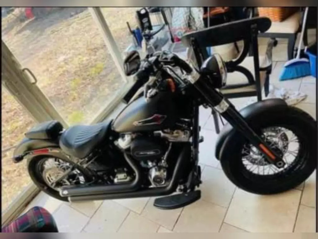 2019 Harley-Davidson SOFTAIL SLIM S SLIM S in Narvon, PA