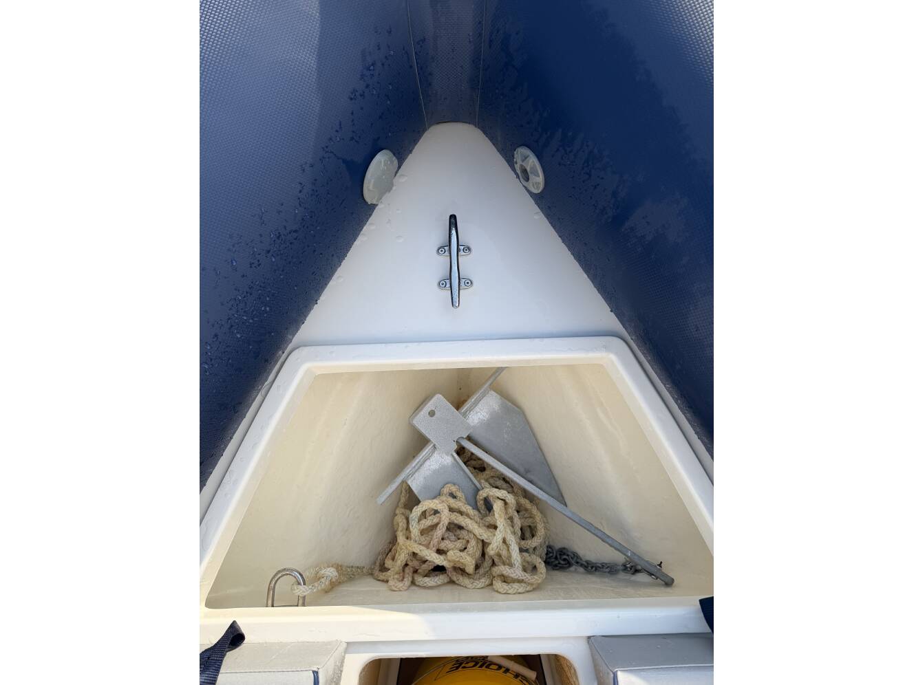 A photo of this 2023 Cobra Ribs Nautique