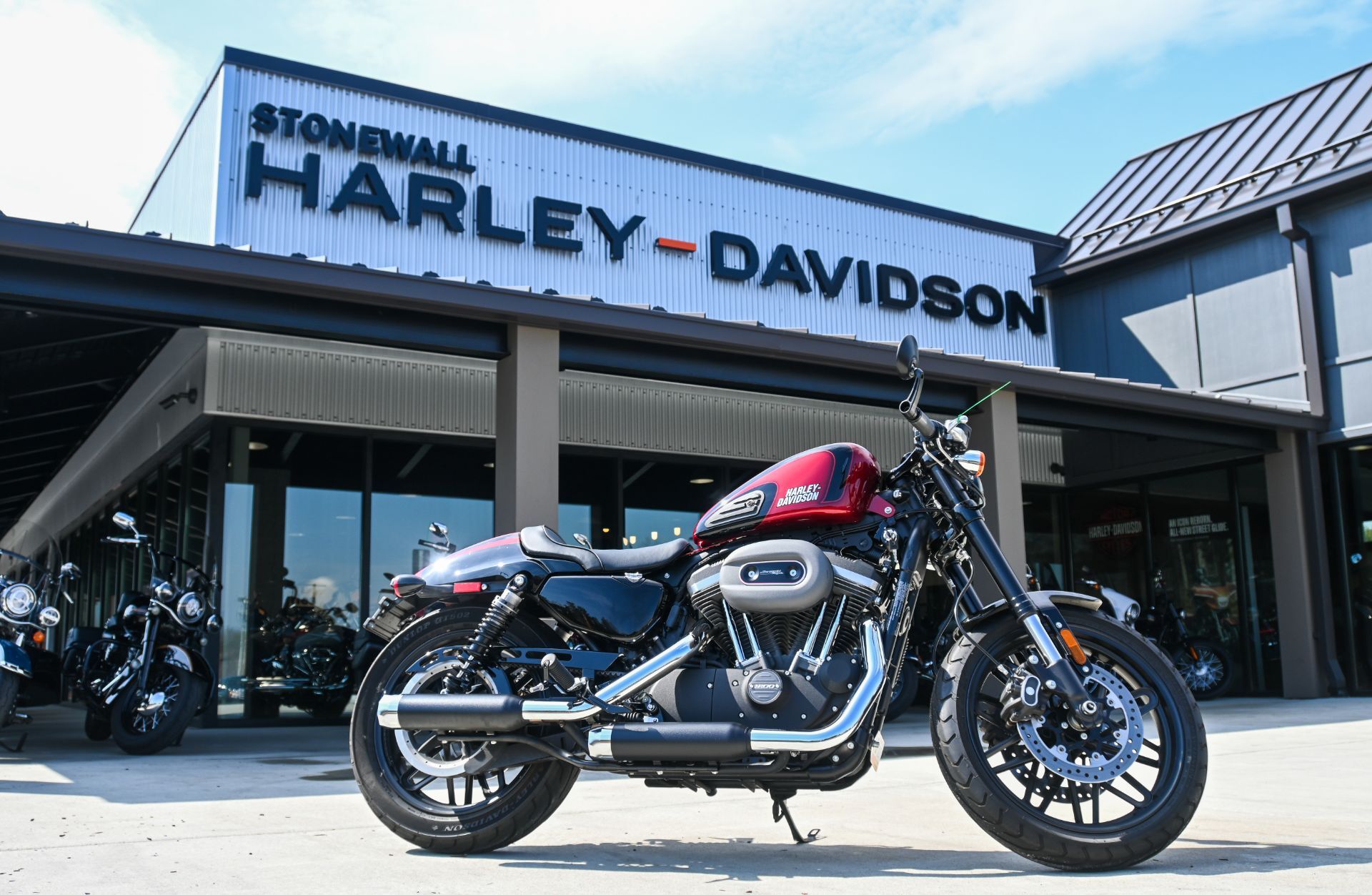 2019 Harley-Davidson Roadster™ in Ruckersville, VA