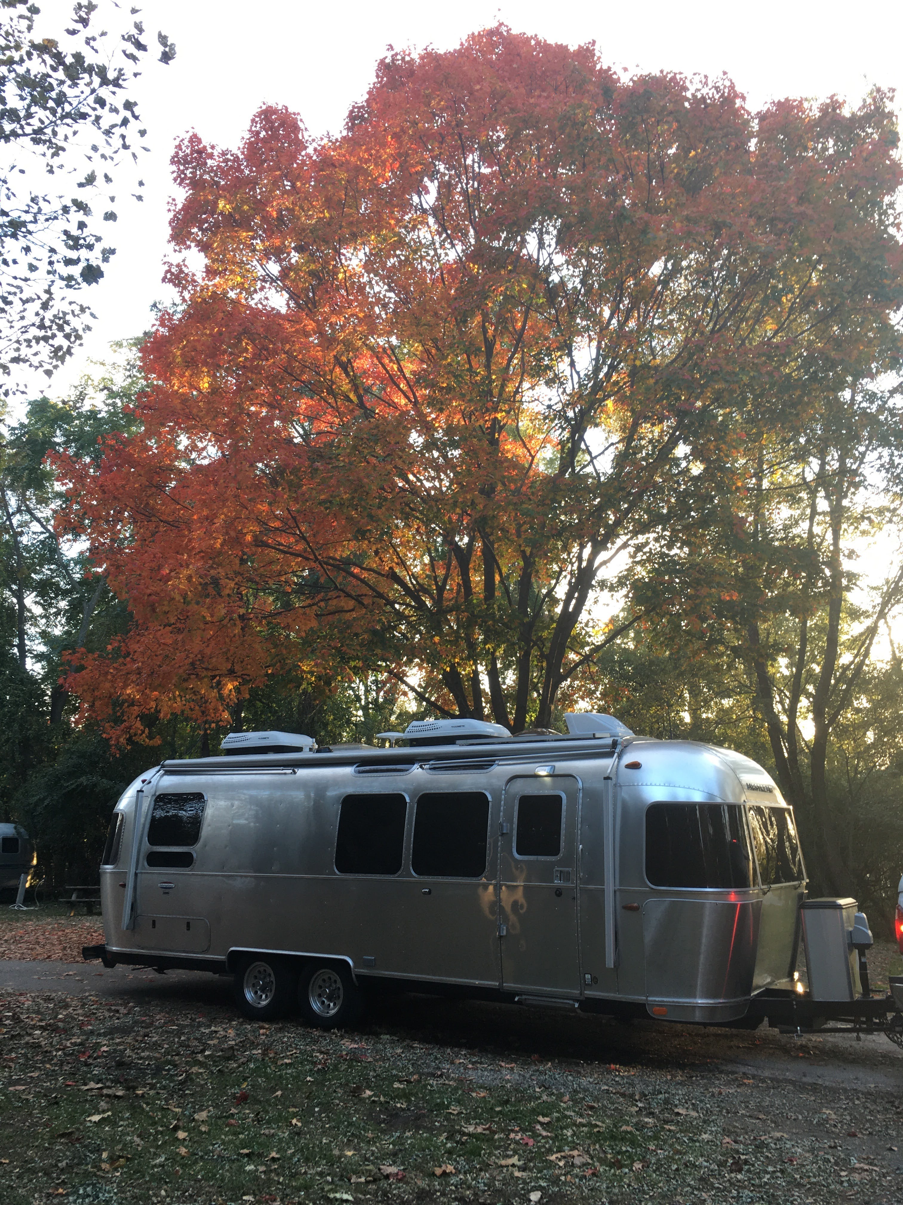 2019 Airstream INTERNATIONAL SIGNATURE 28RBT RV