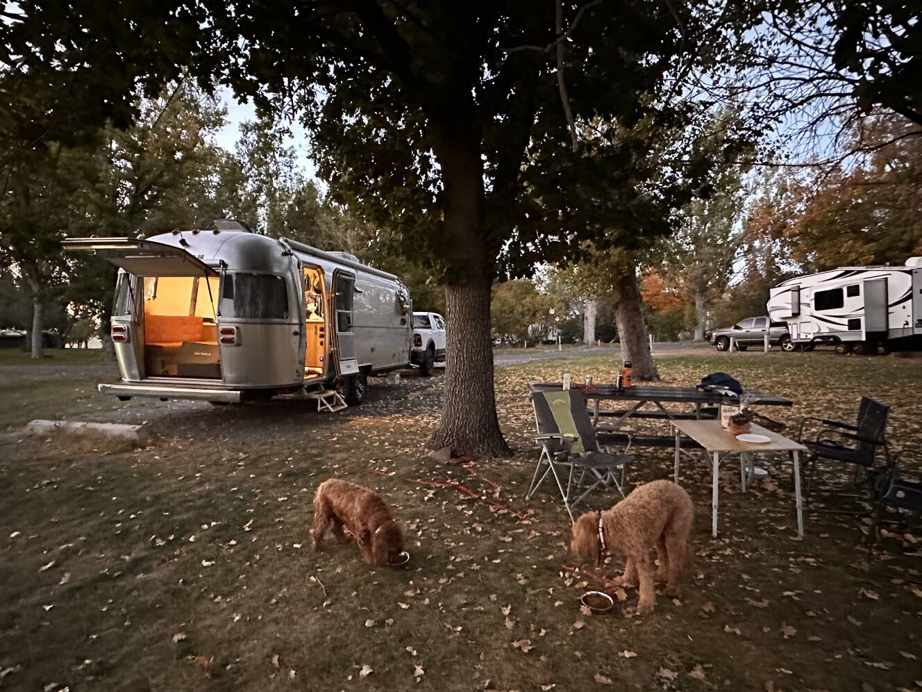 A photo of this 2024 Airstream TRADE WIND 25FBQ