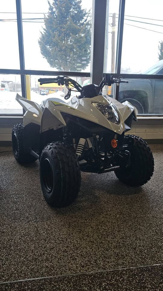 2025 Kymco Mongoose 110i in bear DE