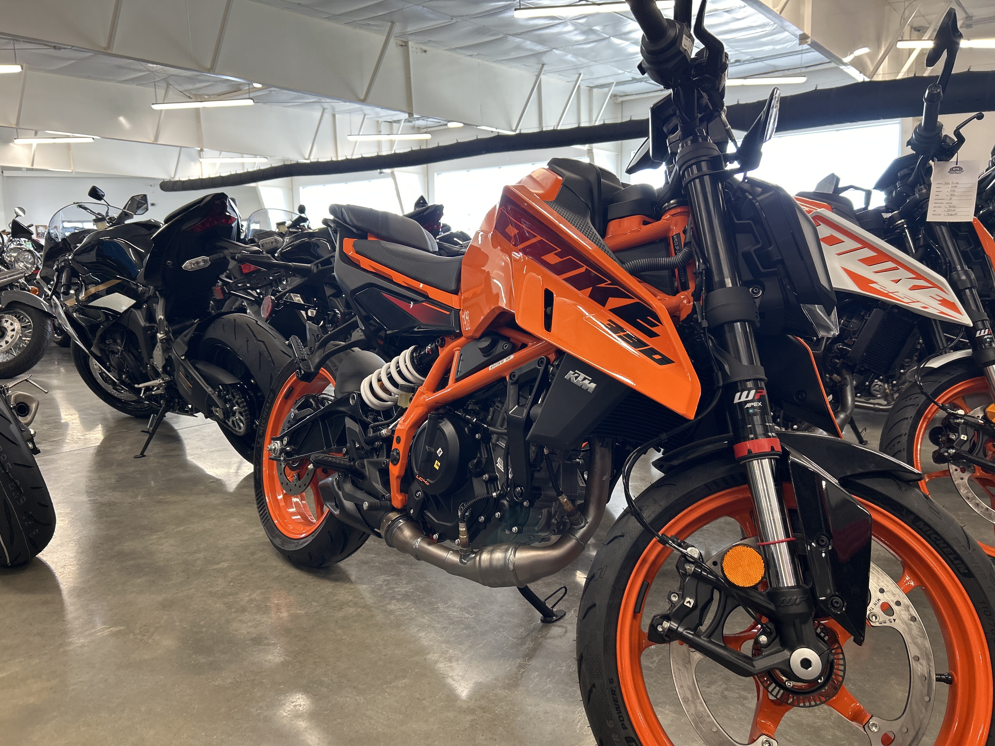 2025 KTM 390 Duke DUKE in Gulfport, MS