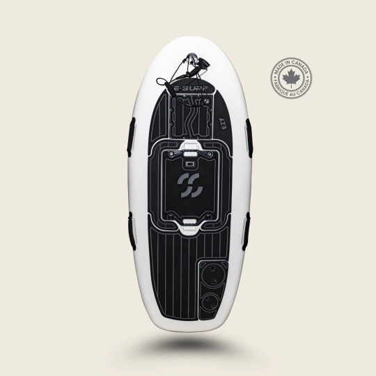 2025 E-Surf EZY PRO in elkhorn WI