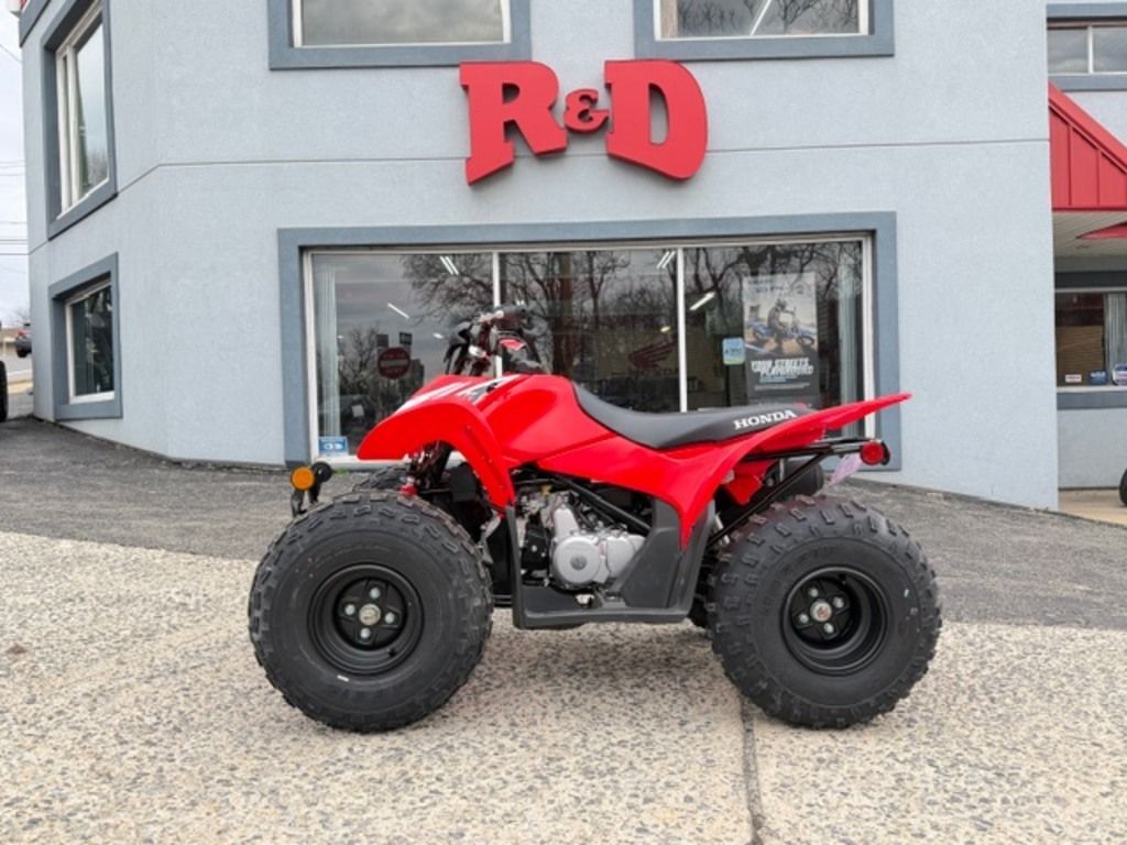 2026 Honda® TRX90X in palmerton PA