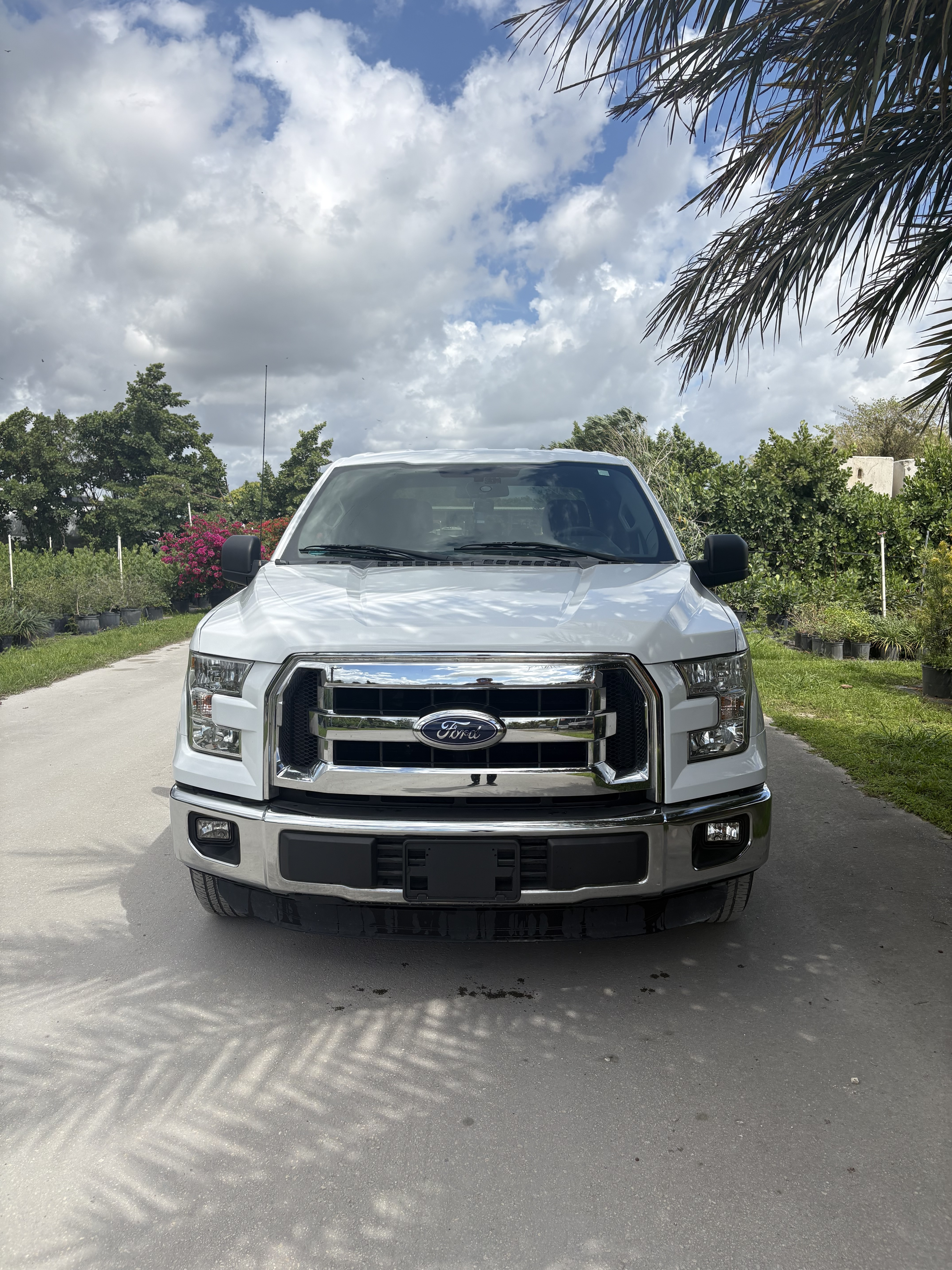 2015 FORD F150 XLT XLT in Miami, FL
