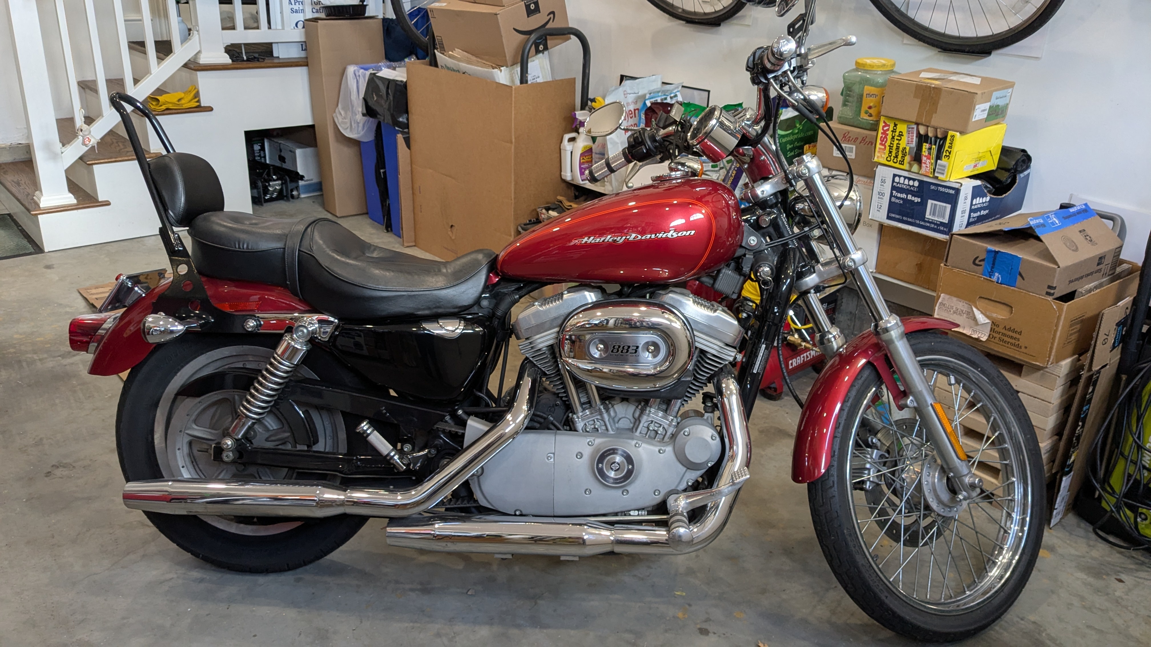 2004 Harley-Davidson SPORTSTER 883 CUSTOM CUSTOM in Fairfield, CT