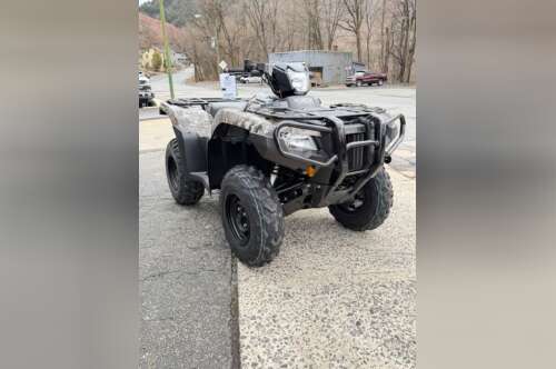 2026 Honda® FourTrax Foreman Rubicon 4x4 Automatic DCT EPS TrueTimb in palmerton PA