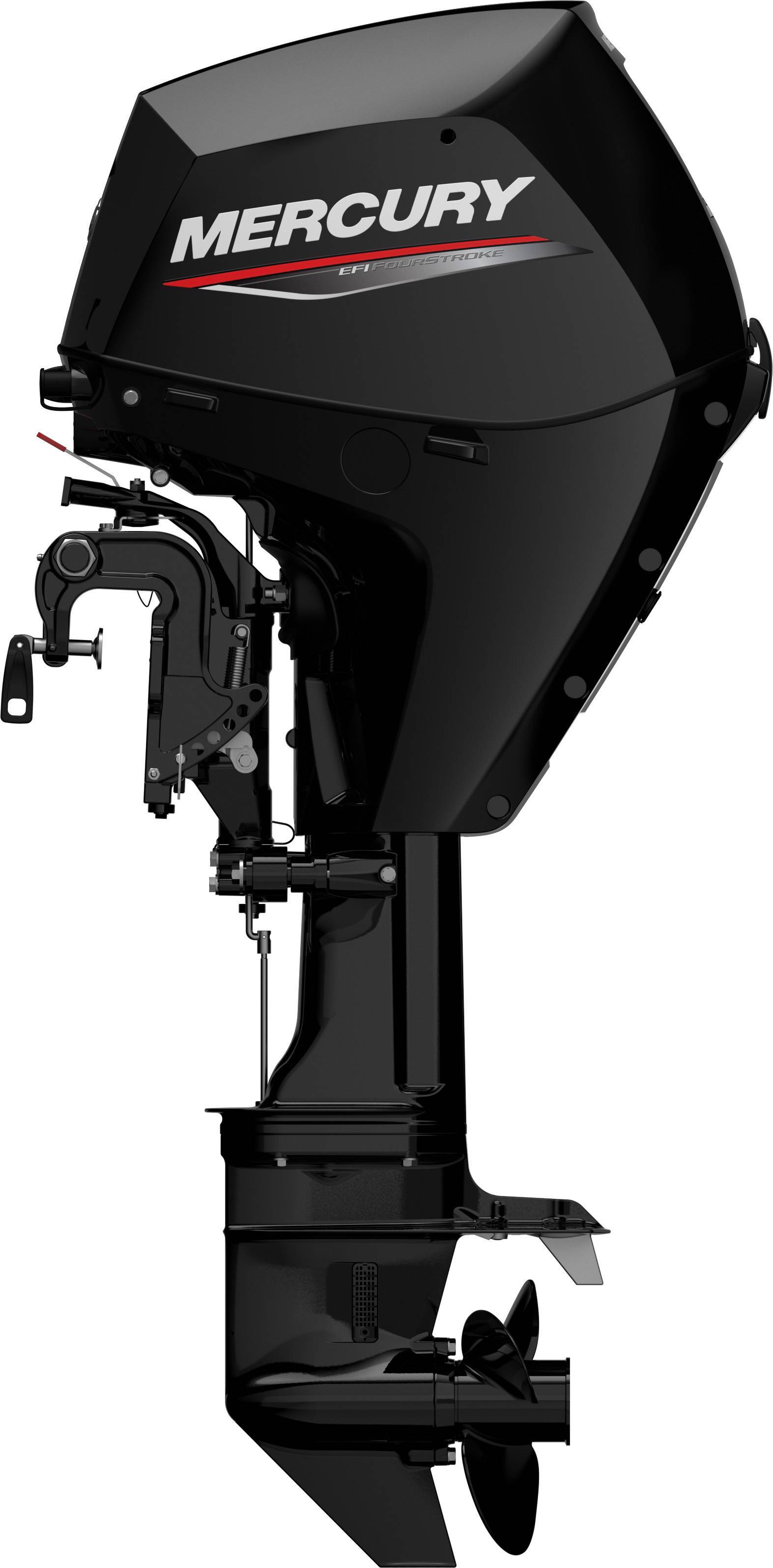 2017 Mercury Marine 25ELPT4SEFI in dubuque IA