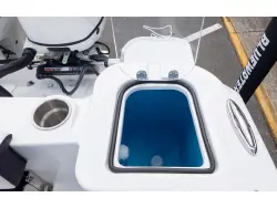 2026 Stingray 259DC