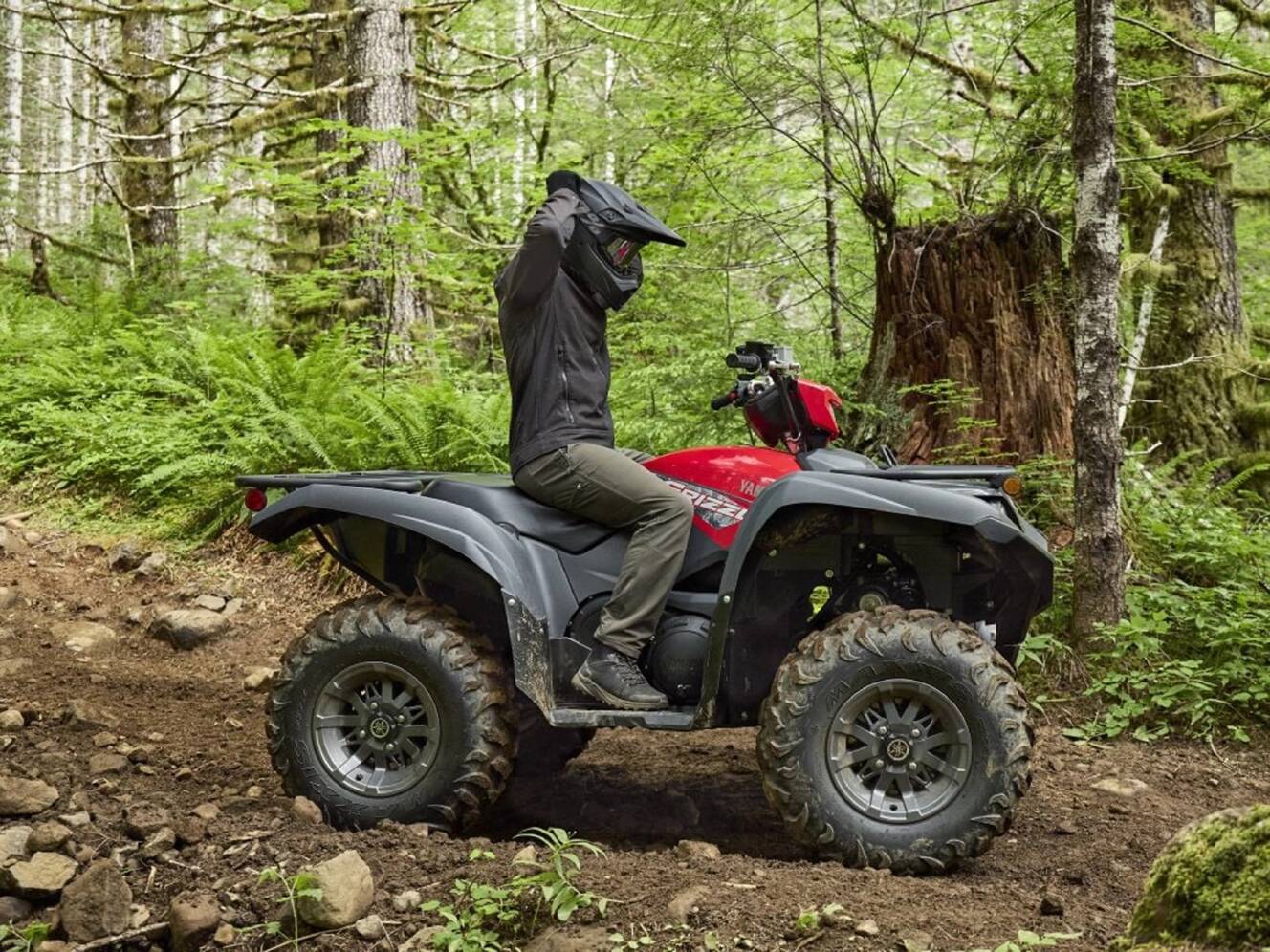 A photo of this 2025 Yamaha Grizzly EPS