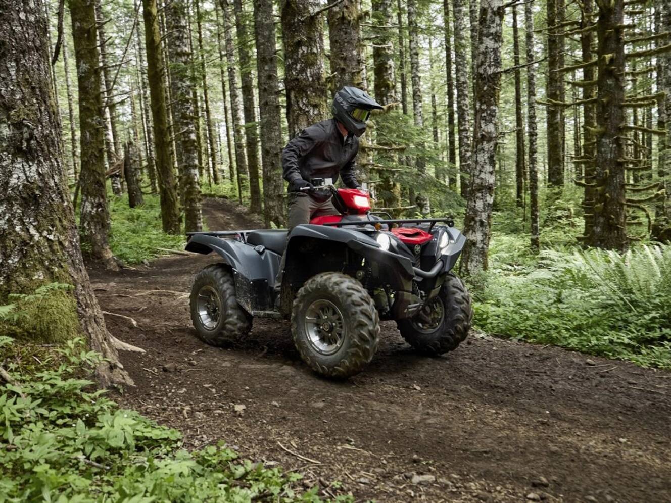 A photo of this 2025 Yamaha Grizzly EPS