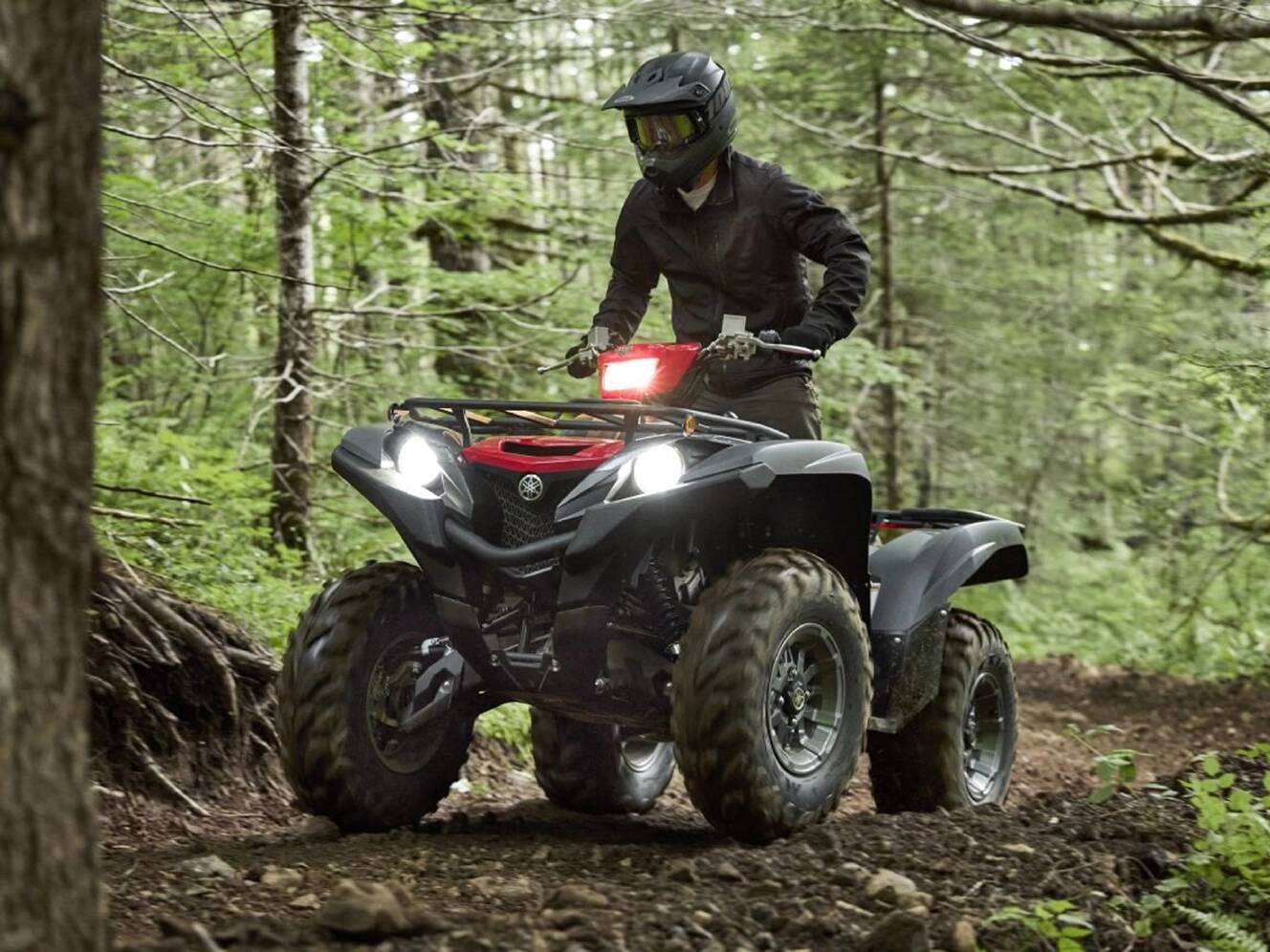 A photo of this 2025 Yamaha Grizzly EPS