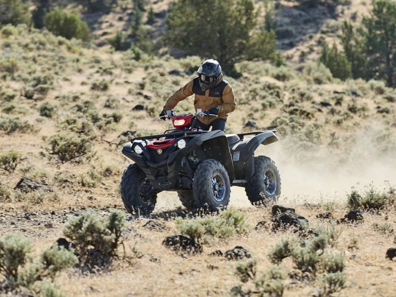 A photo of this 2025 Yamaha Grizzly EPS