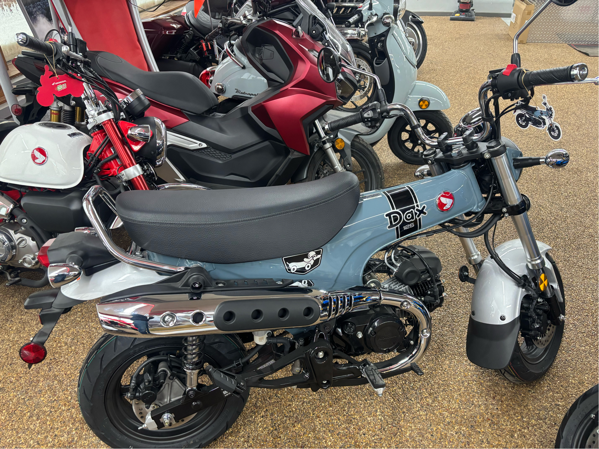 2025 Honda Dax 125 125 in Algona, IA