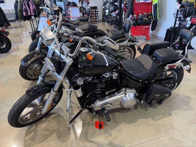 2022 Harley-Davidson Softail Standard STANDARD in Rehoboth Beach, DE