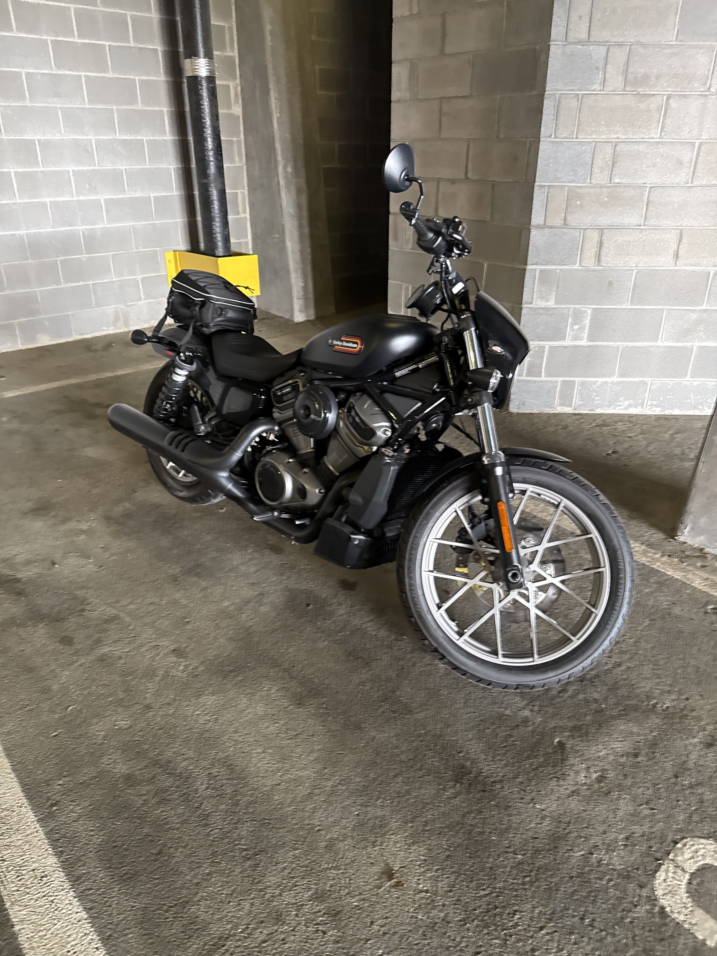 2023 Harley-Davidson Nightster in Raleigh, NC