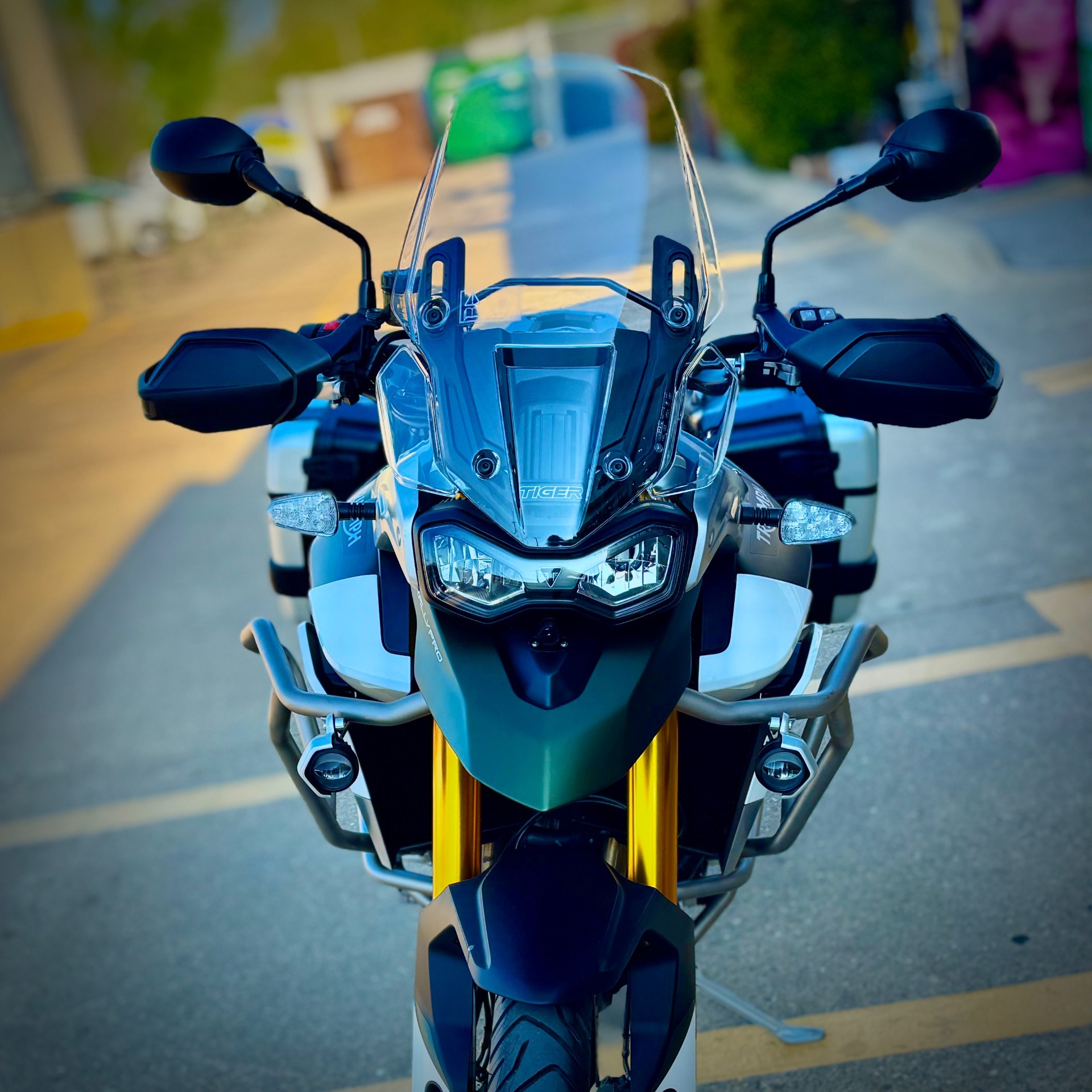 2022 Triumph Tiger 900 Rally Pro 900 RALLY PRO in Dallas, TX