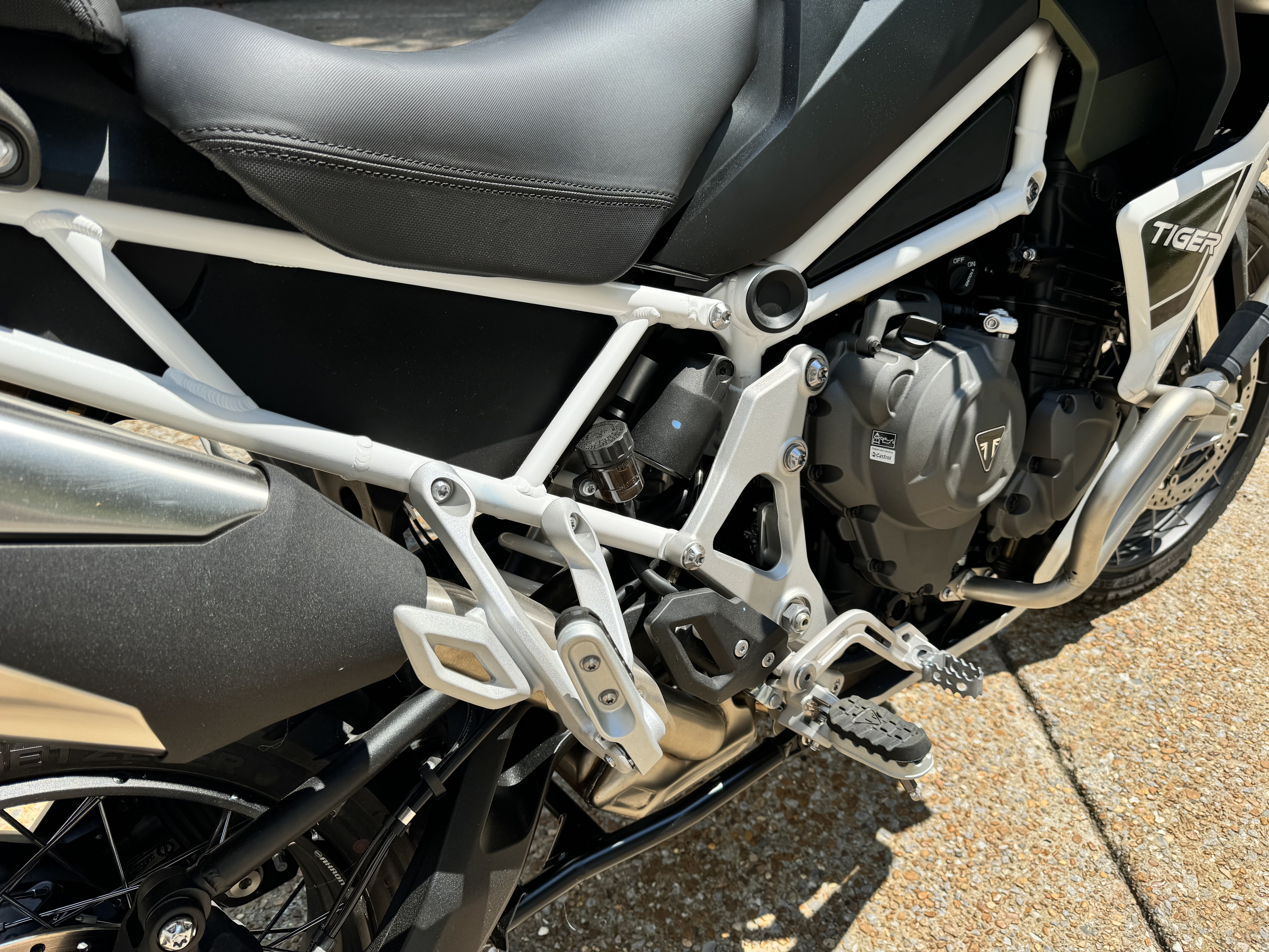2024 Triumph TIGER 1200 RALLY EXPLORER RALLY EXPLORER in Nashville, TN