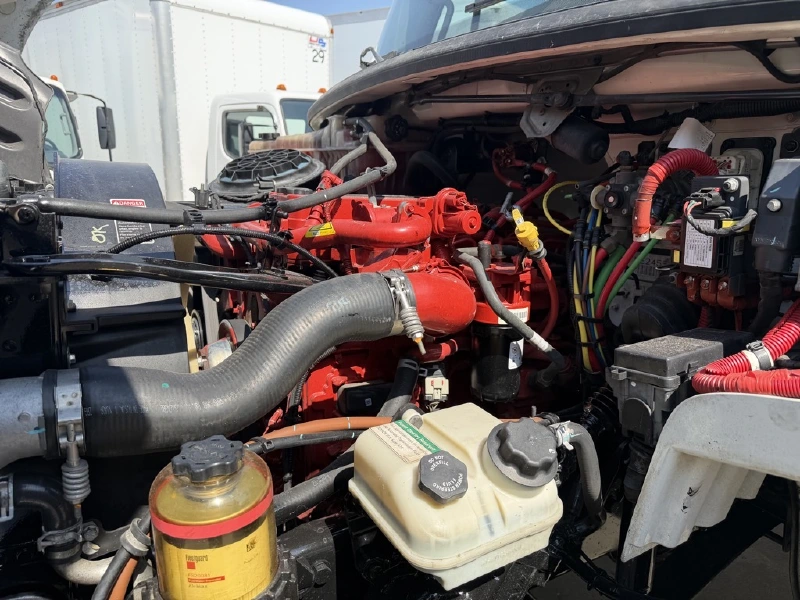 2019 FREIGHTLINER BUSINESS CLASS M2 106
