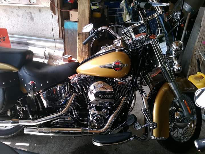 Hot Wheels Harley Davidson Fat Boy 2012 Nuovi Modelli 30/50 [Giallo] 30/247