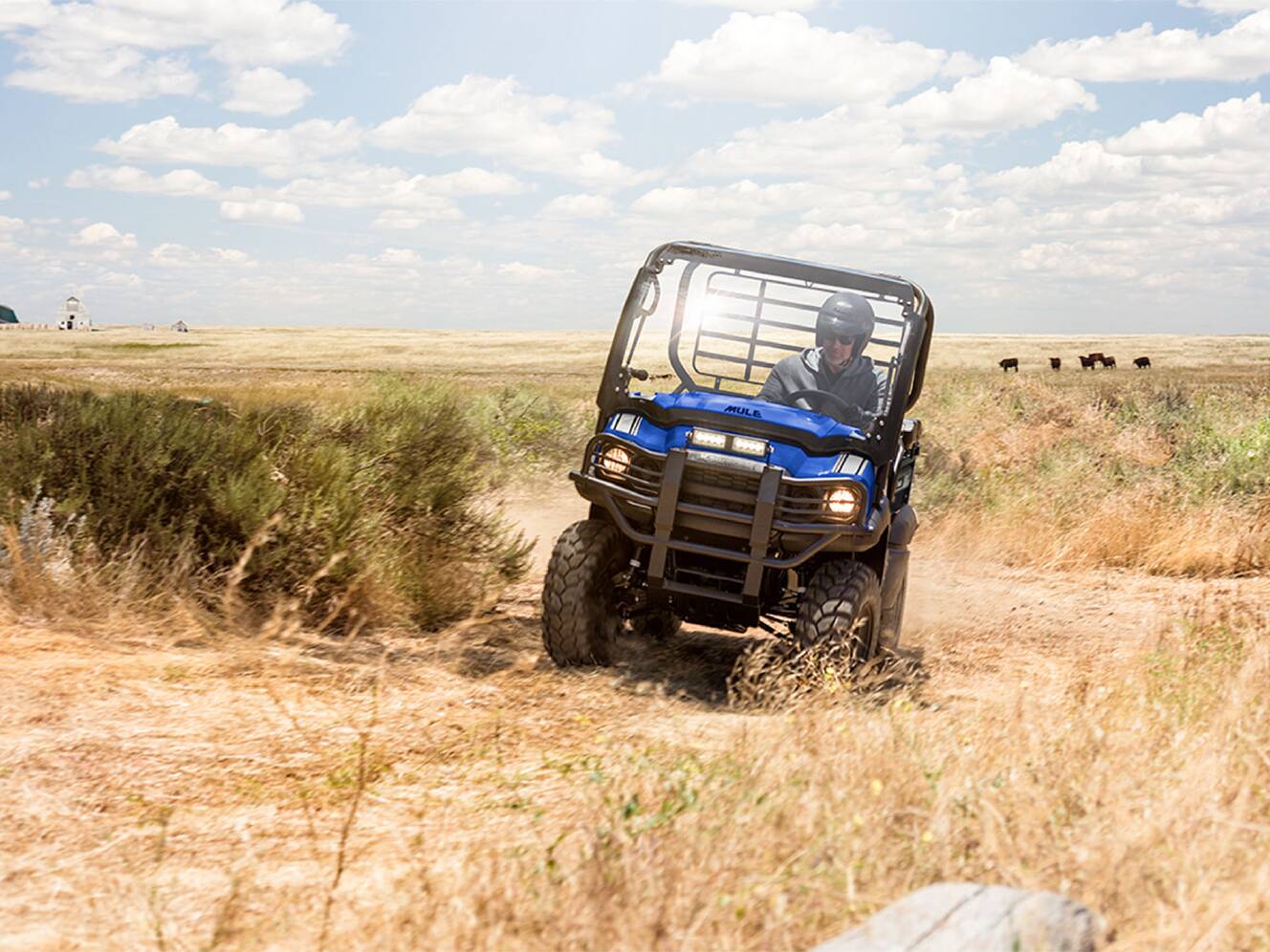 A photo of this 2026 Kawasaki MULE SX™ 4x4 XC