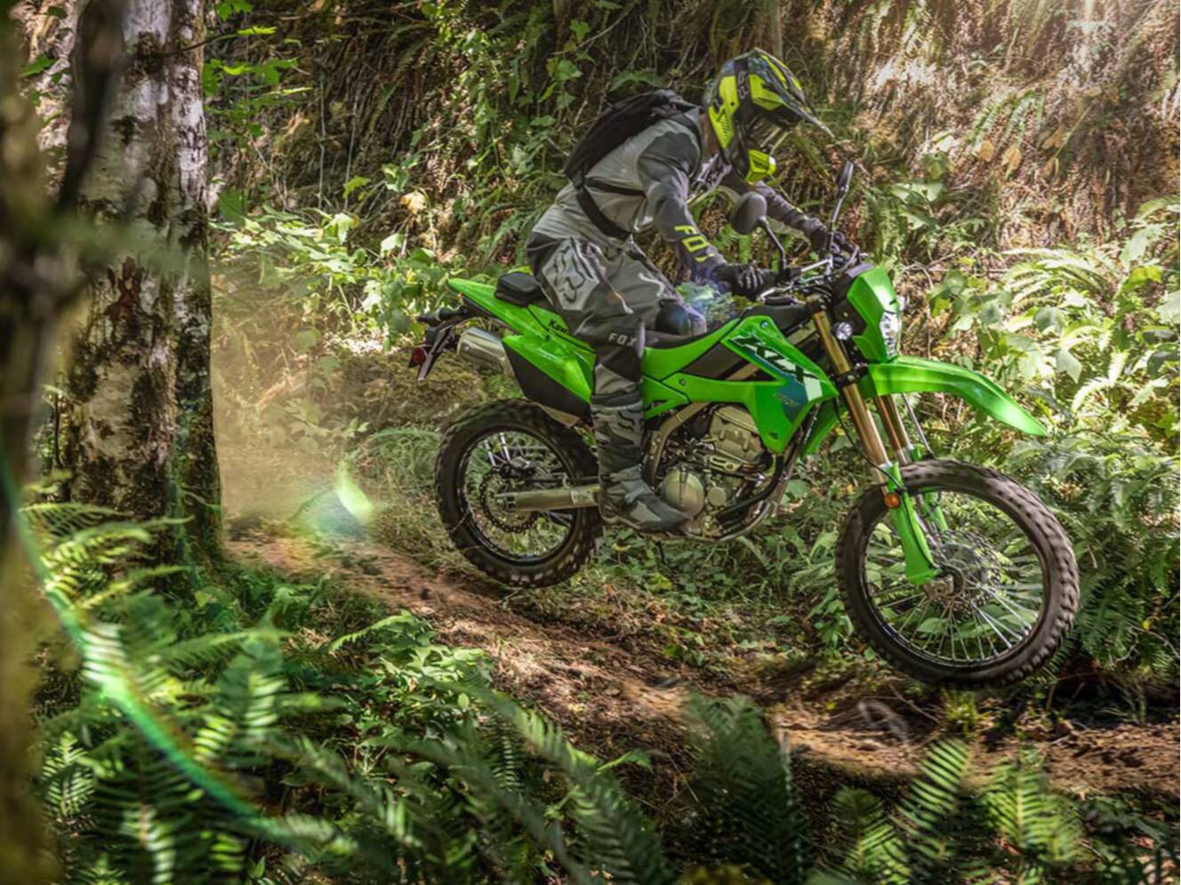 A photo of this 2026 Kawasaki KLX®300