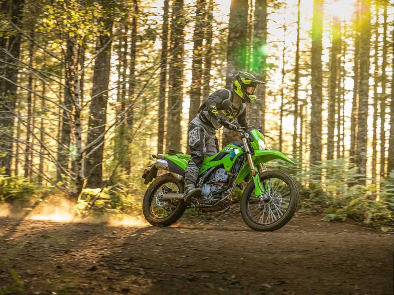 A photo of this 2026 Kawasaki KLX®300