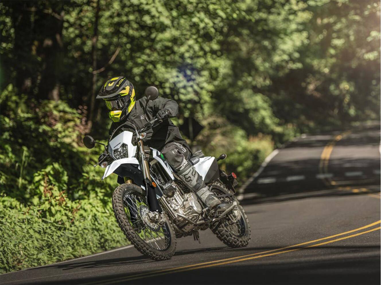 A photo of this 2026 Kawasaki KLX®300