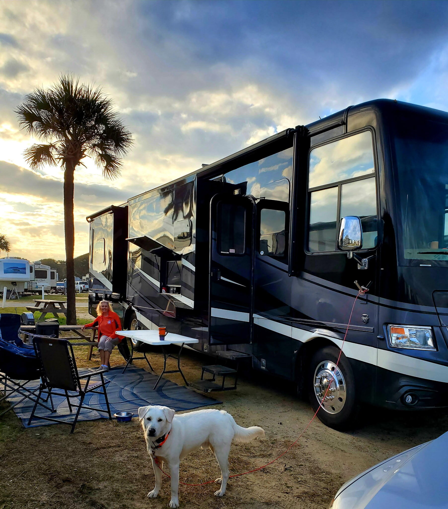 2018 Newmar CANYON STAR 3953 in fair play SC