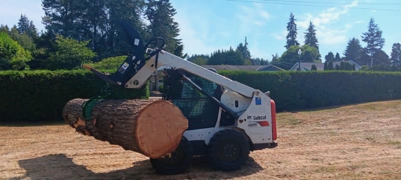2017 BOBCAT S550 in Federal Way, WA