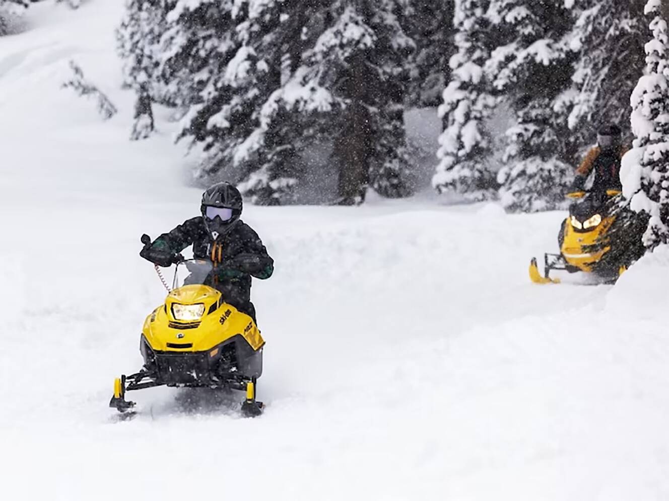 A photo of this 2025 Ski-Doo MXZ 200 ES Cobra 1.0