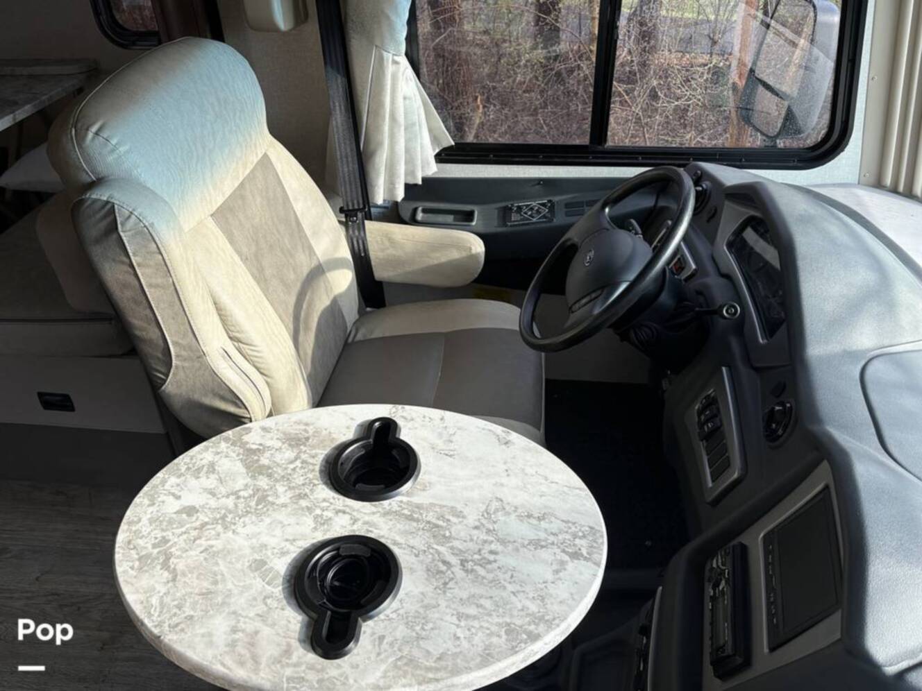 A photo of this 2020 Coachmen Pursuit 31BH