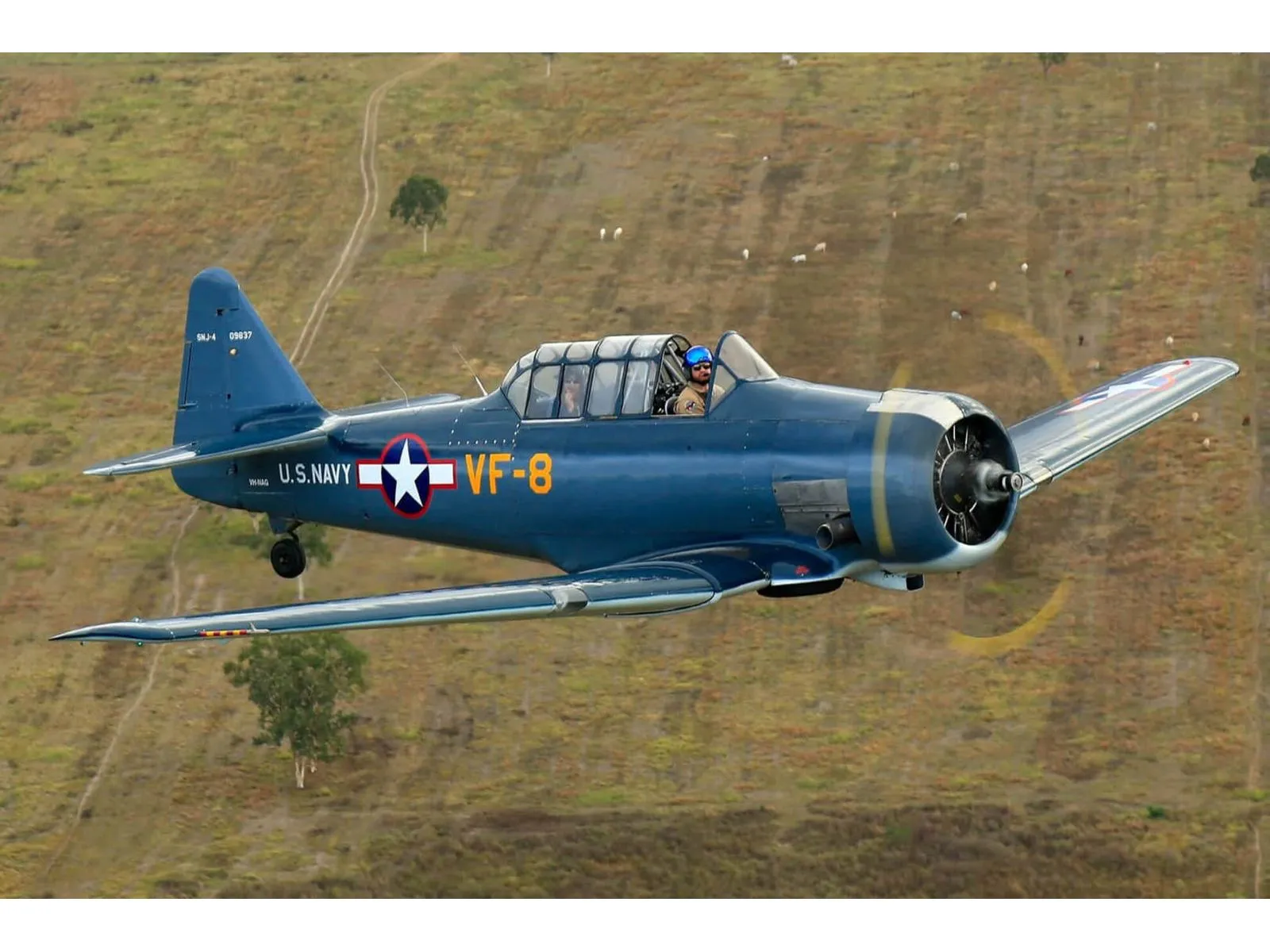 1942 North American SNJ 4 in Redondo Beach, CA