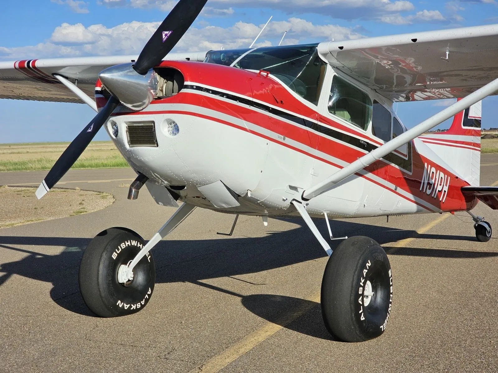1973 Cessna A185F in Pampa, TX