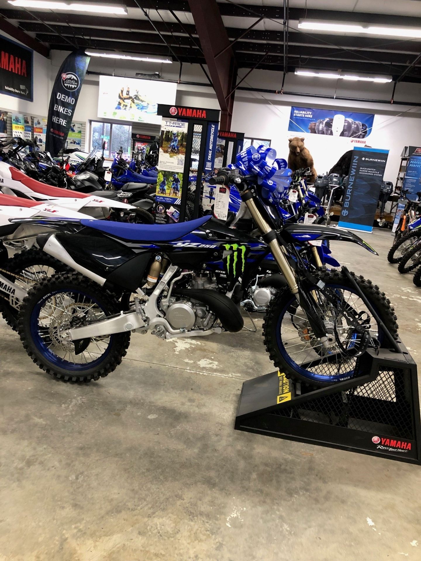 2025 Yamaha YZ250 Monster Energy Edition 250 in Hood River, OR
