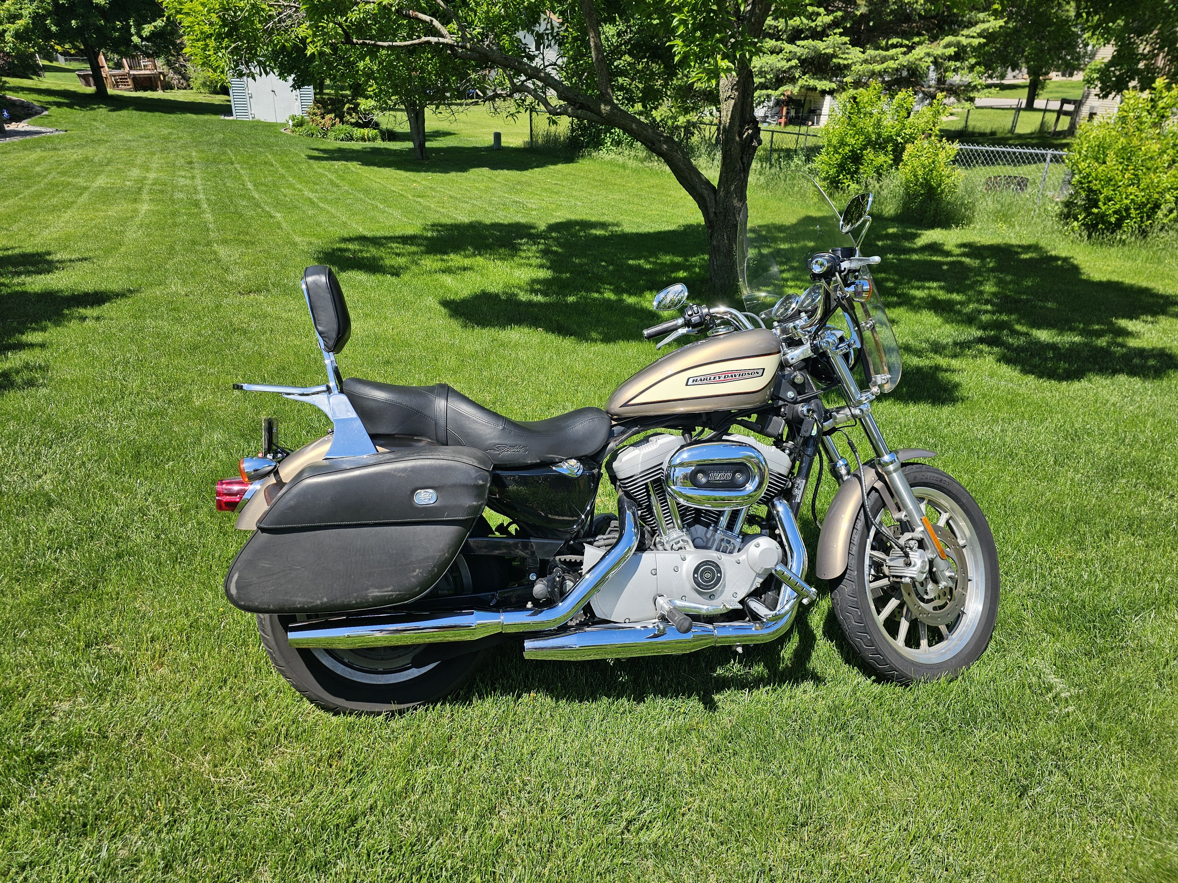 2004 Harley-Davidson SPORTSTER 1200 R R in Elk River, MN